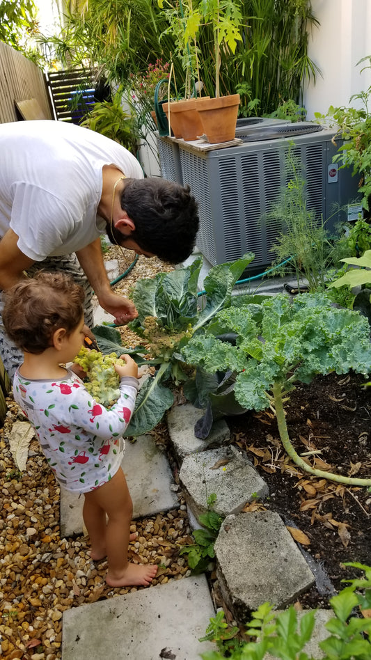 Saving the Planet from the Heart / Salvando al mundo desde el corazón