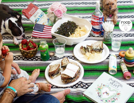 4th of July Picnic