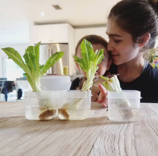 SAVING THE PLANET ONE SMOOTHIE AT A TIME!